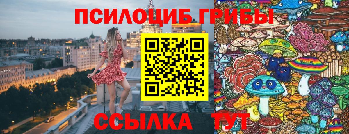 Псилоцибиновые грибы Magic Shrooms Кириши