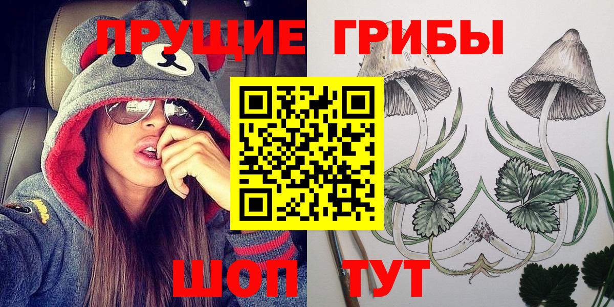 Кириши  Псилоцибиновые грибы прущие грибы  Вход с VPN 